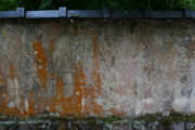 DSC02846